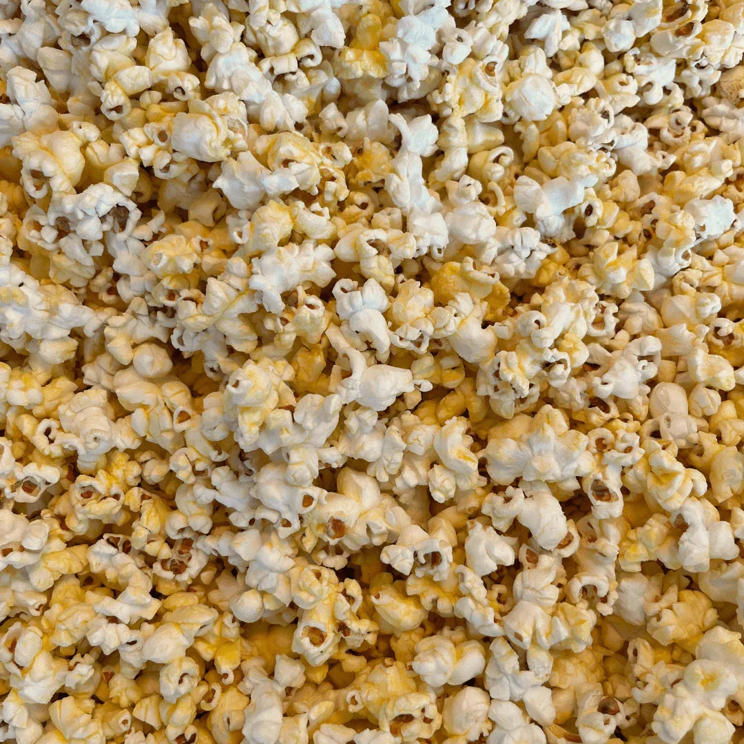 Fisher’s Popcorn Tubs - Dealsoffers1.com