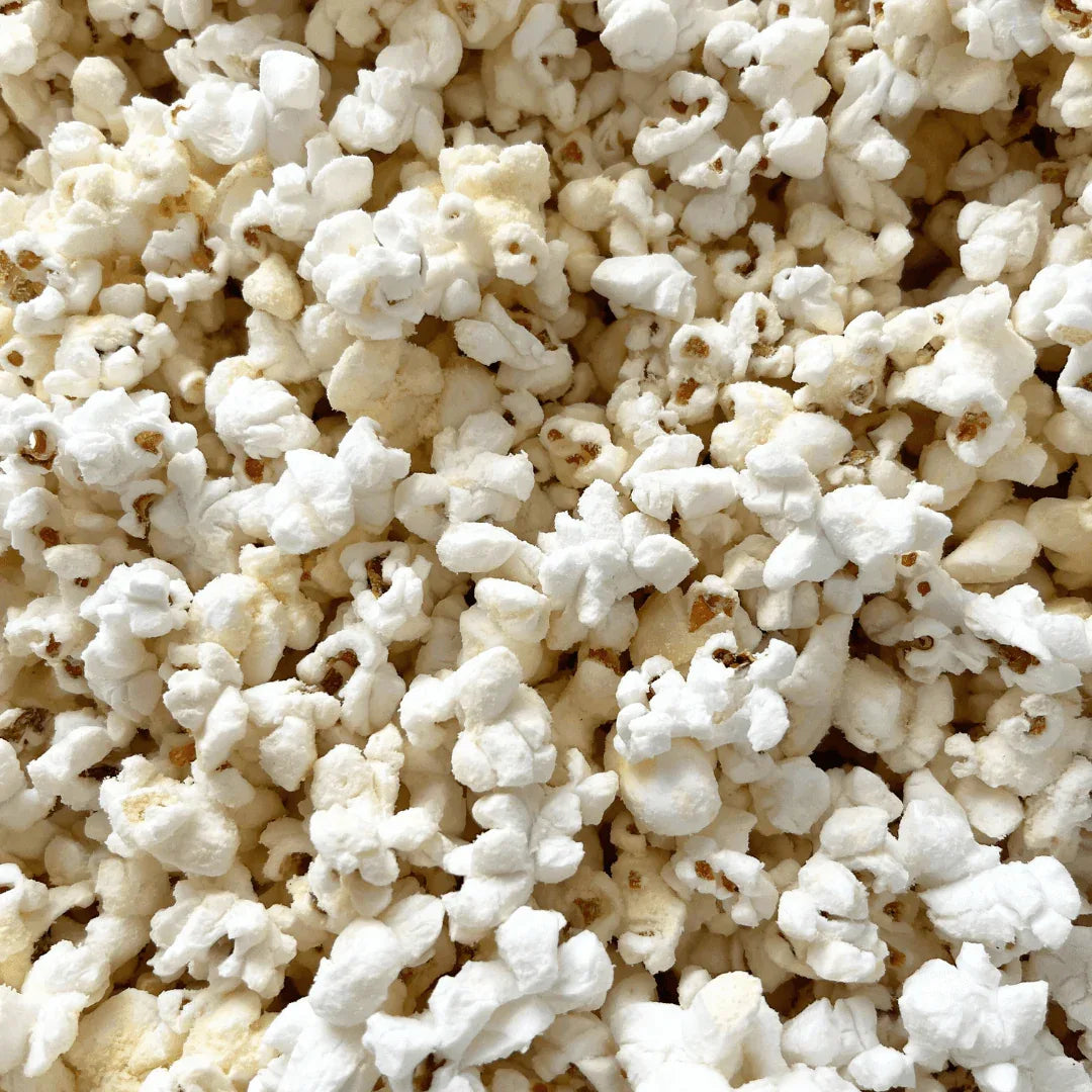 Fisher’s Popcorn Tubs - Dealsoffers1.com